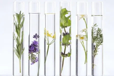 How to use Essential Oils