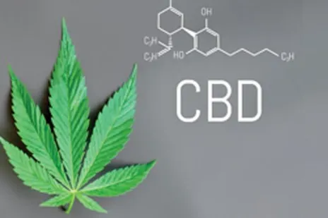 How to Use CBD Oil