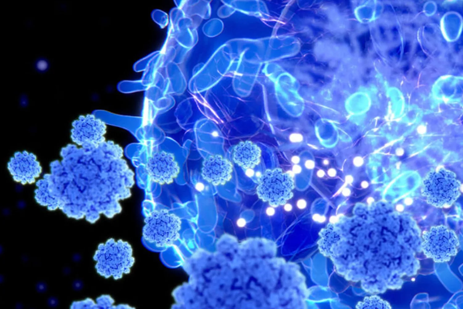 Vitamin A and Immunity