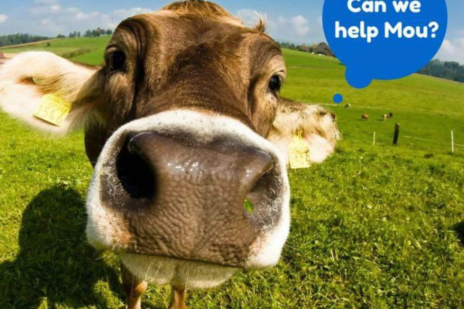 MooGoo