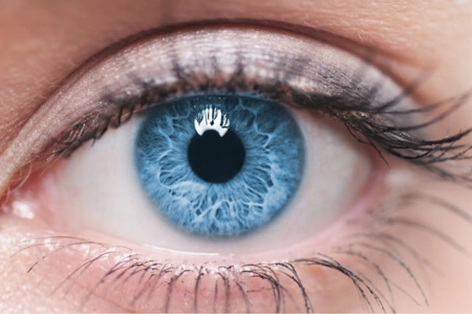 Maintain eye health with Macushield Maintain eye health with Macushield