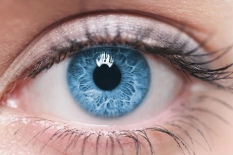Maintain eye health with Macushield