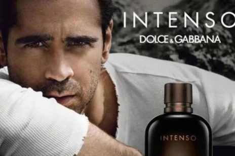 Dolce & Gabbana Fragrances for Men A Complete Guide to Finding Your Best Aftershave