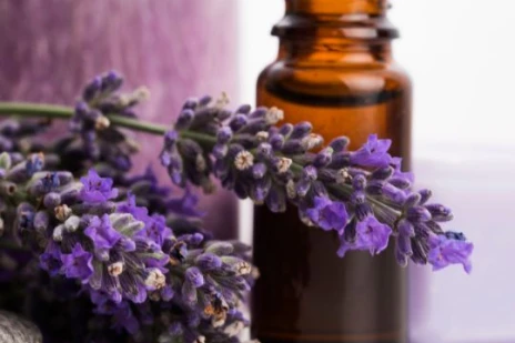 Essential Oils Explained
