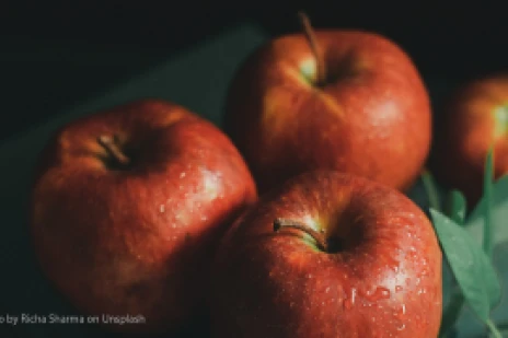 Apple cider vinegar - Top 10 Questions