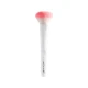 Wet N Wild Powder Perfection Kit Wet N Wild Powder Perfection Kit