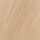 Naturtint Permanent Gel 10N Light Dawn Blonde (170 ml) Naturtint Permanent Gel 10N Light Dawn Blonde (170 ml)