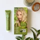 Naturtint Permanent Gel 10N Light Dawn Blonde (170 ml) Naturtint Permanent Gel 10N Light Dawn Blonde (170 ml)