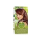 Naturtint Permanent Gel 5C Light Copper Chestnut (170 ml)