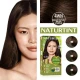 Naturtint Permanent Hair Colour Gel 4WN Radiant Natural Chestnut (170 ml) Naturtint Permanent Hair Colour Gel 4WN Radiant Natural Chestnut (170 ml)