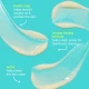 Dermalogica Clear Start Blackhead Clearing Fizz Mask 50ml
