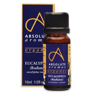 Absolute Aromas Organic Eucalyptus Radiata (10 ml)