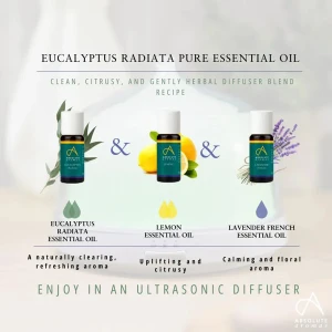 Absolute Aromas Organic Eucalyptus Radiata (10 ml)