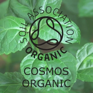 Absolute Aromas Organic Patchouli (10 ml)