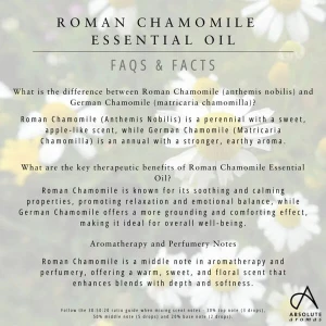 Absolute Aromas Chamomile Roman (5ml)