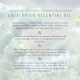 Absolute Aromas Eucalyptus Globulus (10 ml)