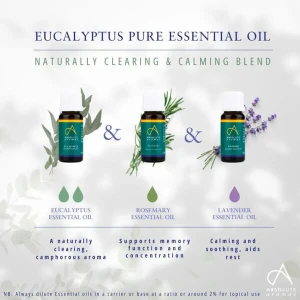 Absolute Aromas Eucalyptus Globulus (10 ml)