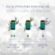 Absolute Aromas Eucalyptus Globulus (10 ml)