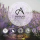 Absolute Aromas Eucalyptus Globulus (10 ml)