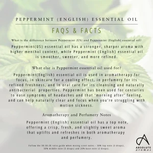 Absolute Aroma Peppermint English Oil 10ml