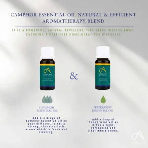 Absolute Aromas Camphor (10 ml)