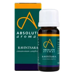 Absolute Aromas Ravintsara Essential Oil (10 ml)