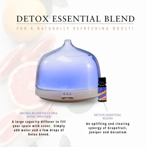 Absolute Aromas Detox Essential Oil Blend 10ml -