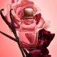 Narciso Rodriguez All Of Me Intense Edp 30ml Narciso Rodriguez All Of Me Intense Edp 30ml