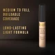 Max Factor Facefinity Concealer 020