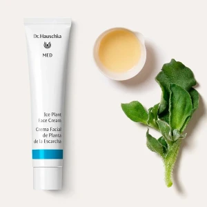 Dr Hauschka Ice Plant Face Cream 40ml Dr Hauschka Ice Plant Face Cream 40ml