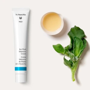 Dr Hauschka Ice Plant Intensive Cream 50ml Dr Hauschka Ice Plant Intensive Cream 50ml