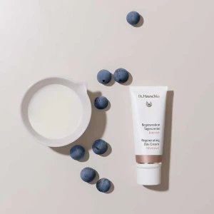 Dr Hauschka Regenerating Intensive Day Cream 40ml Dr Hauschka Regenerating Intensive Day Cream 40ml