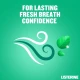 Listerine Fresh Burst Mouthwash 500ml Listerine Fresh Burst Mouthwash 500ml