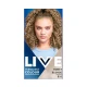 Schwarzkopf Live Intense Colour Honey B16 Schwarzkopf Live Intense Colour Honey B16