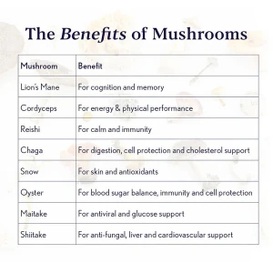 Higher Nature Mushroom Vitality (60 tabs) Higher Nature Mushroom Vitality (60 tabs)