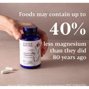 Higher Nature Atlantic Marine Magnesium (90 Tabs)
