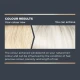 Jerome Russell Bblonde Ice Blonde Maximum Colour Toner Jerome Russell Bblonde Ice Blonde Maximum Colour Toner