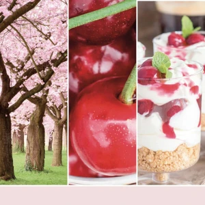 Yankee Candle Signature Large Jar Pink Cherry Vanilla Yankee Candle Signature Large Jar Pink Cherry Vanilla
