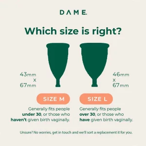 Dame Period Cup L Dame Period Cup L