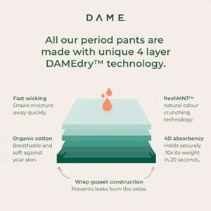 Dame Period Pant Ultra Size 20 Dame Period Pant Ultra Size 20