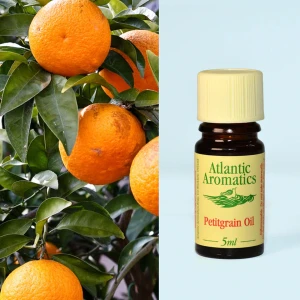 Atlantic Aromatics Original Petitgrain Oil - Egypt (5 Ml)