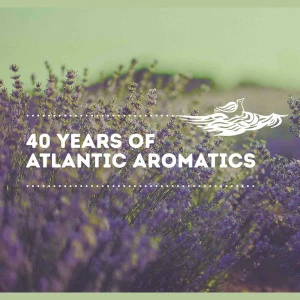 Atlantic Aromatics Cajuput Oil (5 Ml)