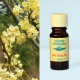 Atlantic Aromatics May Chang Oil (China) 10 ml