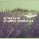 Atlantic Aromatics Violet Leaf Oil 5% in coconut (5 ml)