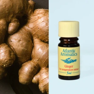 Atlantic Aromatics Original Ginger Oil 5ml