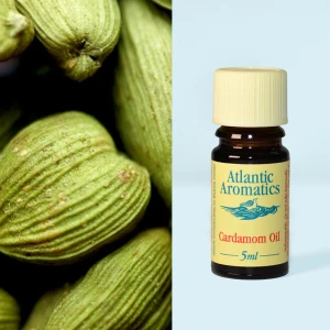 Atlantic Aromatics Cardamom Oil - Guatemala (5 Ml)