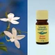 Atlantic Aromatics Jasmine Absolute - Egypt (2.5 Gr)