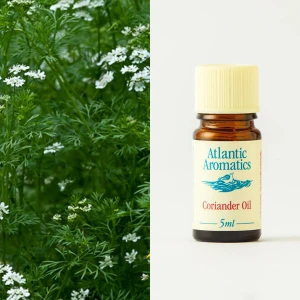 Atlantic Aromatics Coriander Oil (5ml)