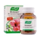 A Vogel Menopause Support (60 Tabs) A Vogel Menopause Support (60 Tabs)