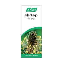 A Vogel Plantago Lanceolata Lance Leaf 50ml A Vogel Plantago Lanceolata Lance Leaf 50ml